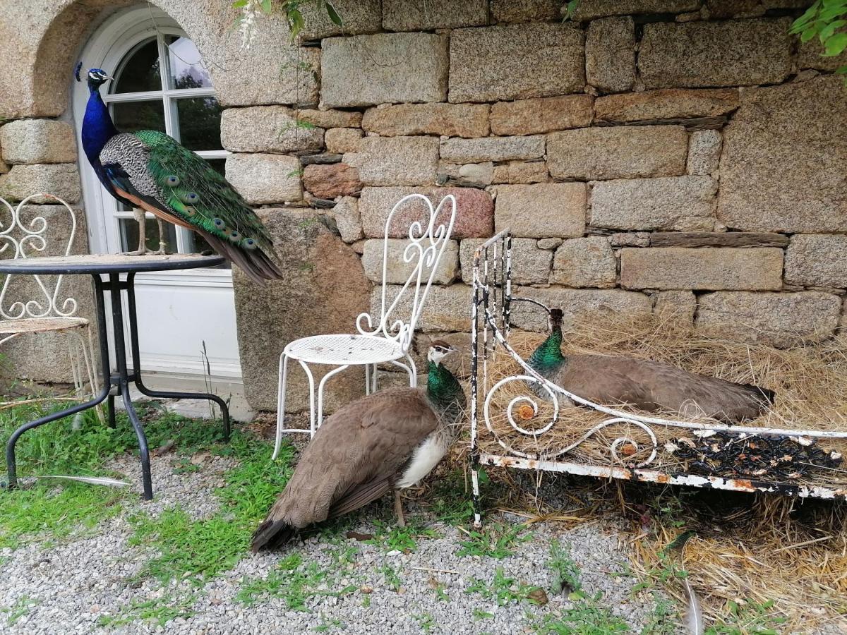 Frairie Du Divit Panzió Pontivy Kültér fotó